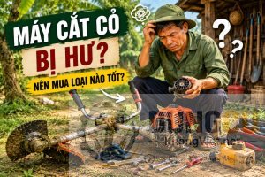 May cat co bi hu nen mua loai nao